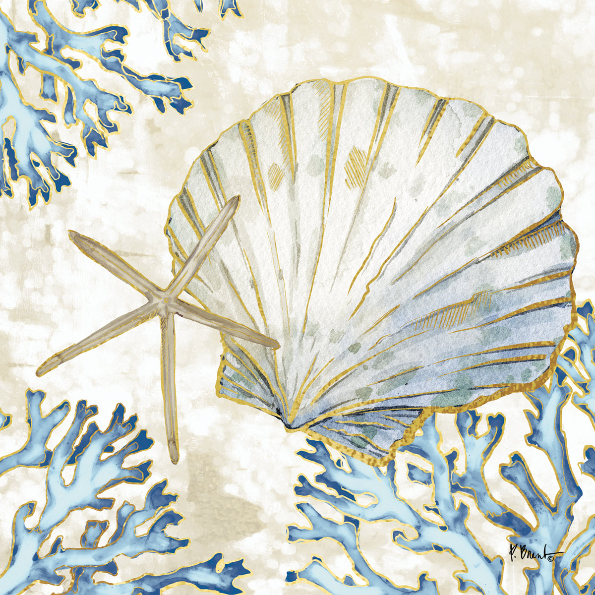 Playa Shells II