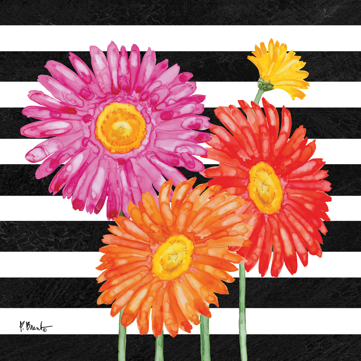 Helena Daisies I – Stripes