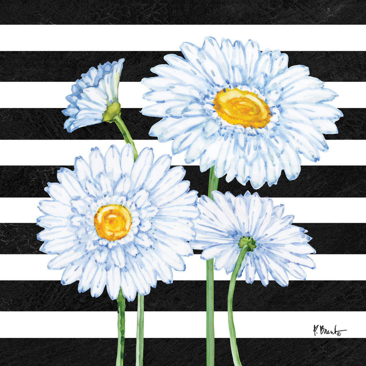 Helena Daisies II – Stripes