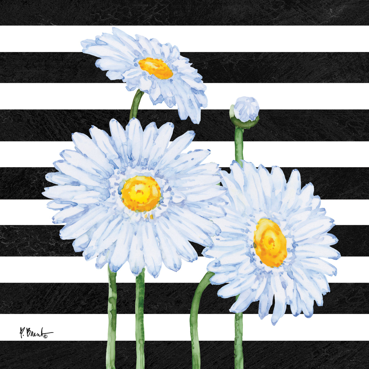 Helena Daisies III – Stripes