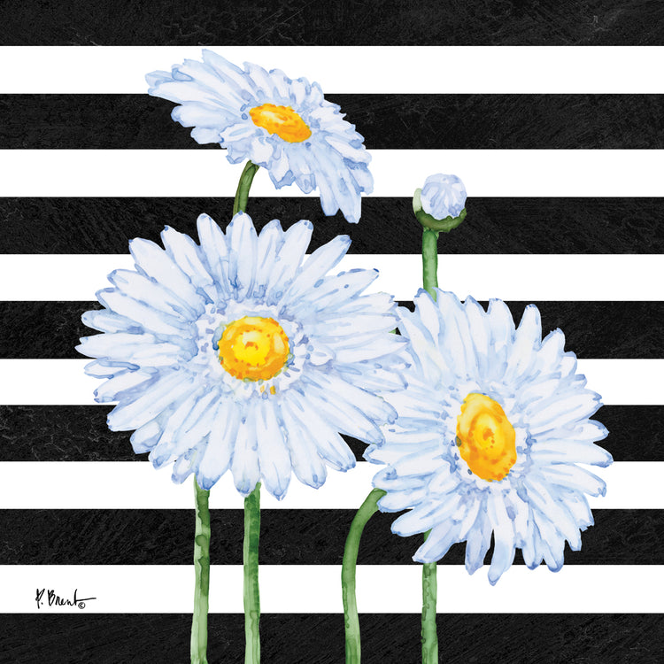 Helena Daisies III - Rayas Lienzo