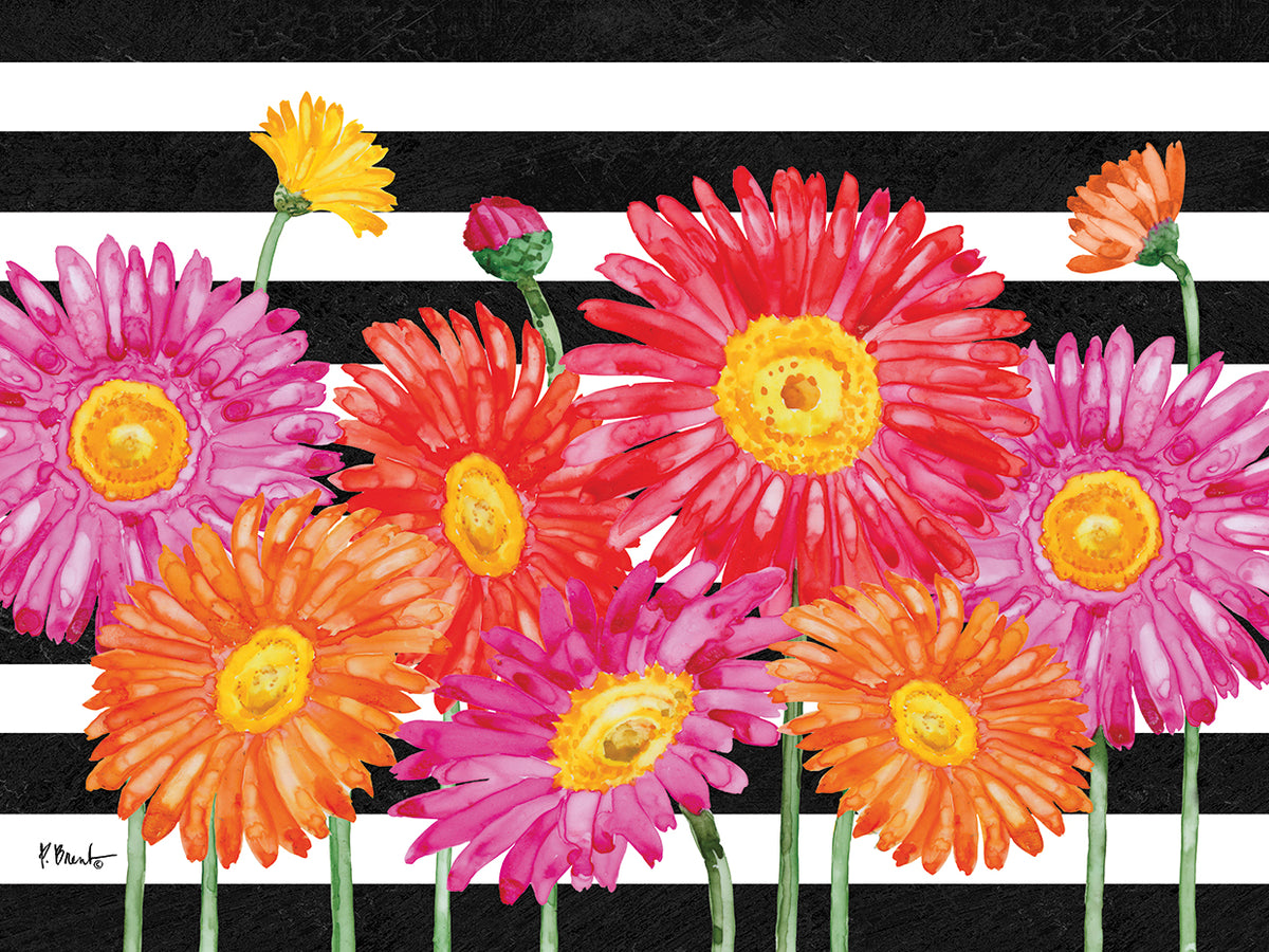 Helena Daisies Horizontal – Stripes