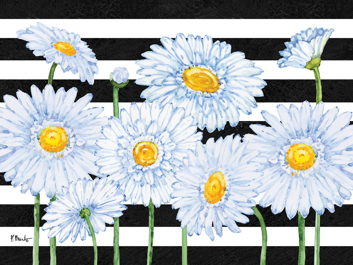 Helena Daisies Horizontal II - Rayas Lienzo