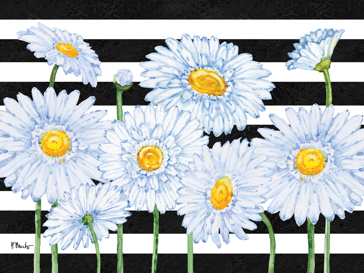 Helena Daisies Horizontal II – Stripes