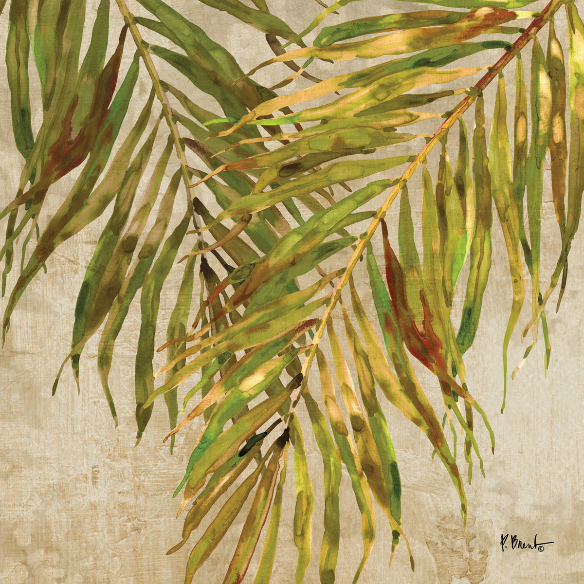 Palmdale Fronds I