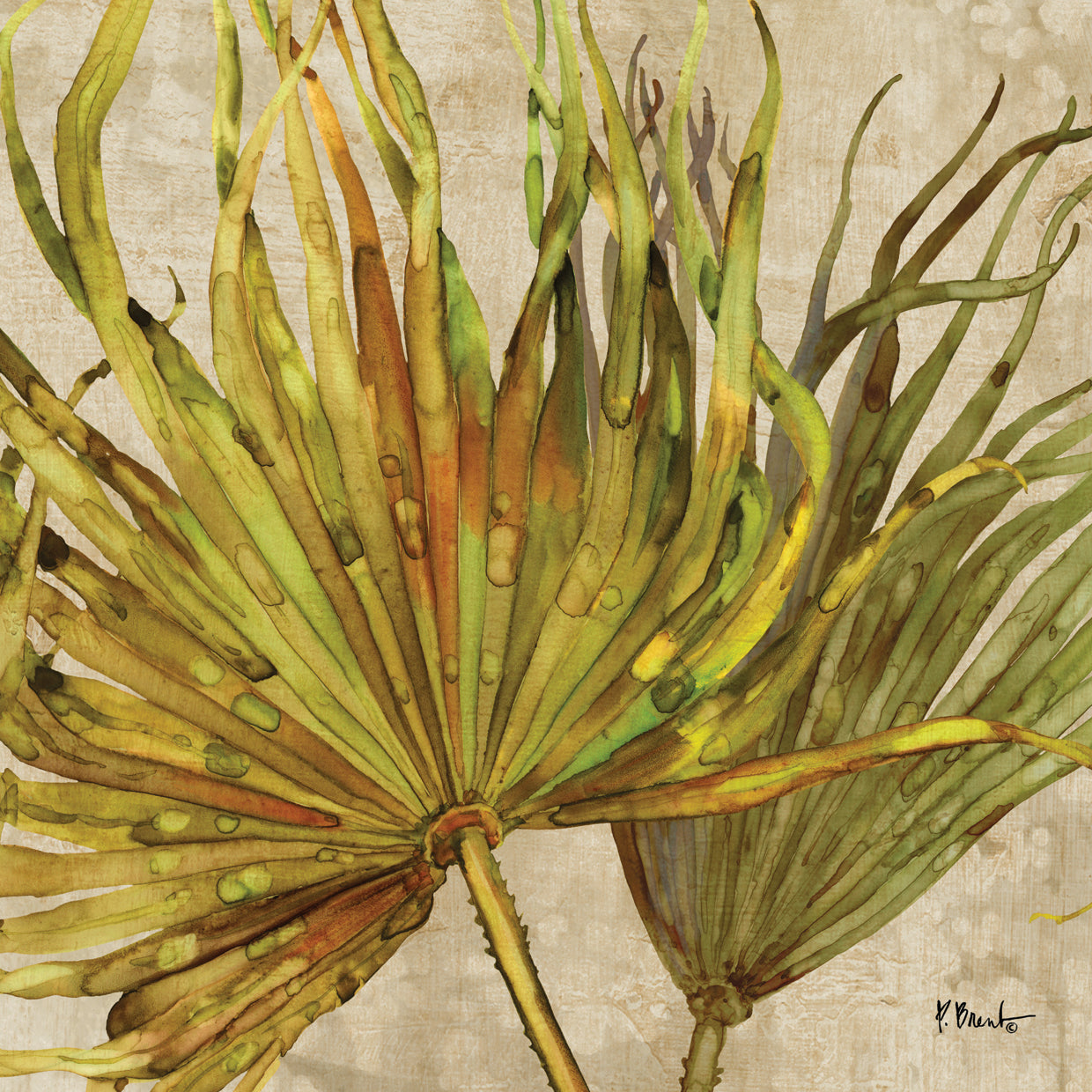 Palmdale Fronds III