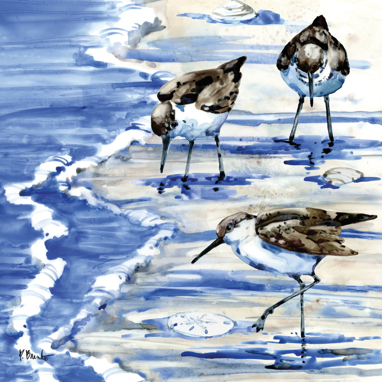 Rockhampton Sandpipers II