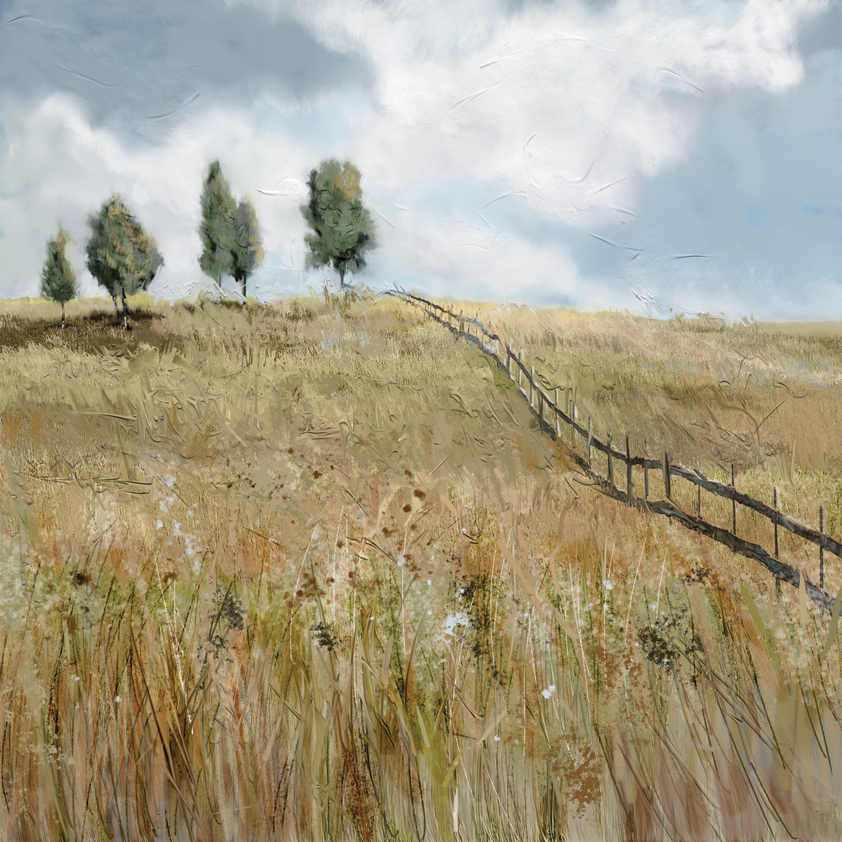 Field of Dreams