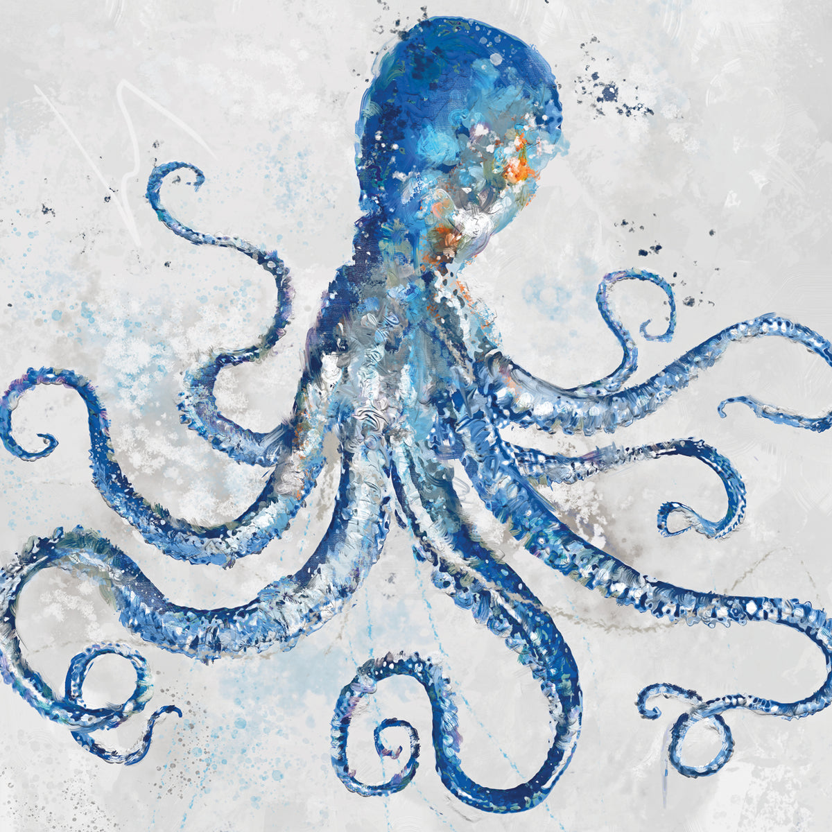 Octopus