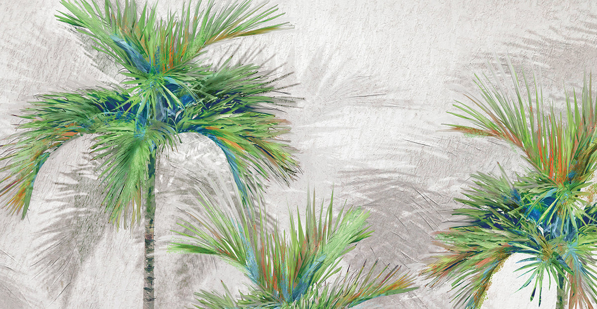 Palm Shadows