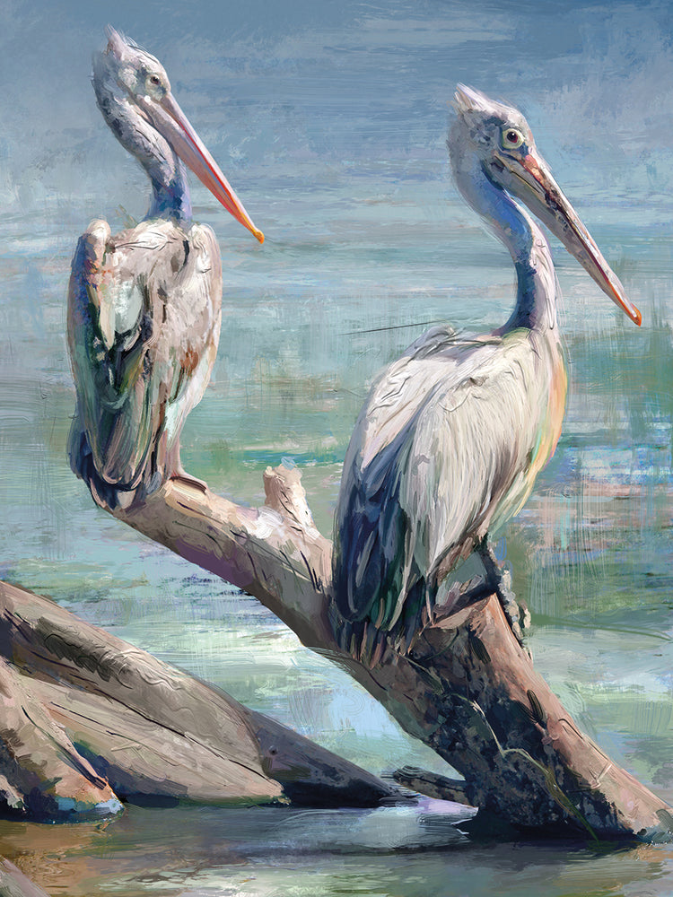 Pelican Pair