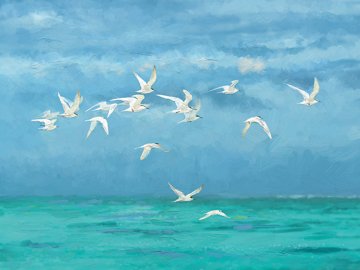 Seaside Flight