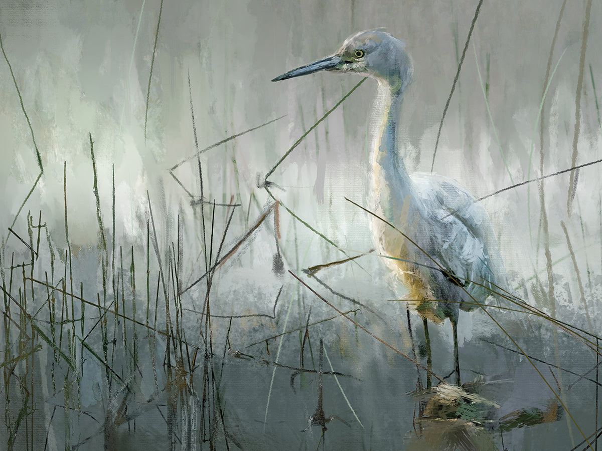 Shoreline Pause