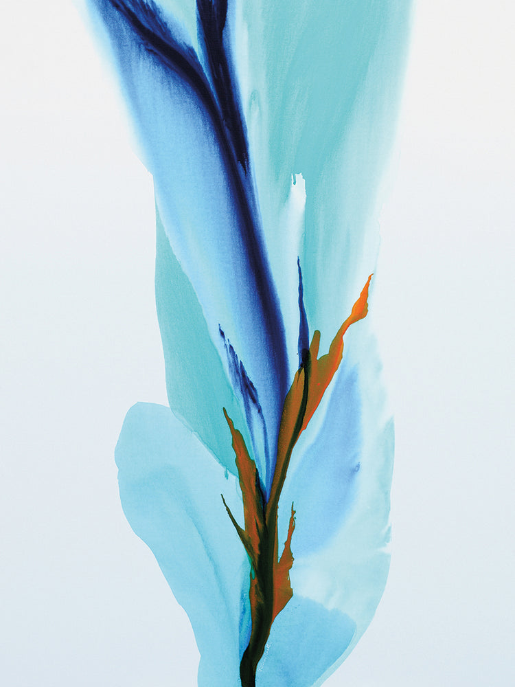 Spring’s Calling Card