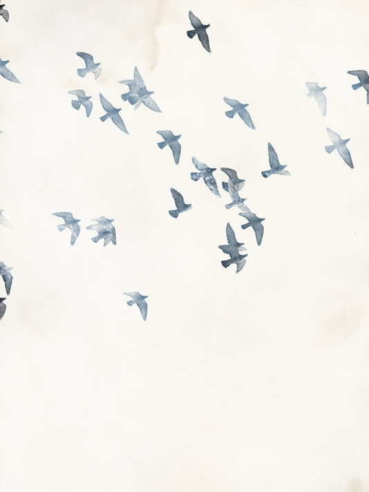 Pigeons Sky Canvas Print