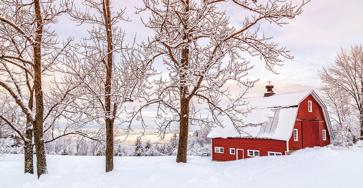 Winter Arrives