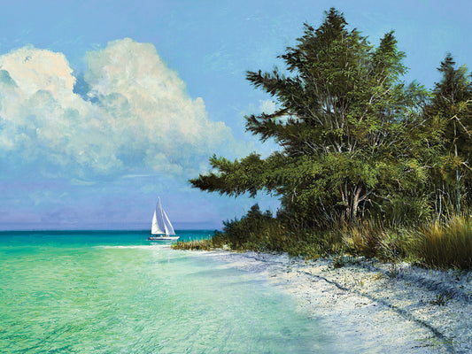 Cayo Costa Beach Canvas Print