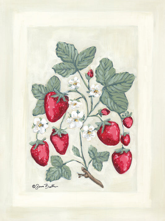 Sweet Summer Strawberries I Canvas Print
