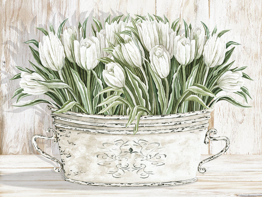 Tulips in White Chipped Pail