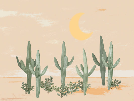 Desert Moon II Canvas Print