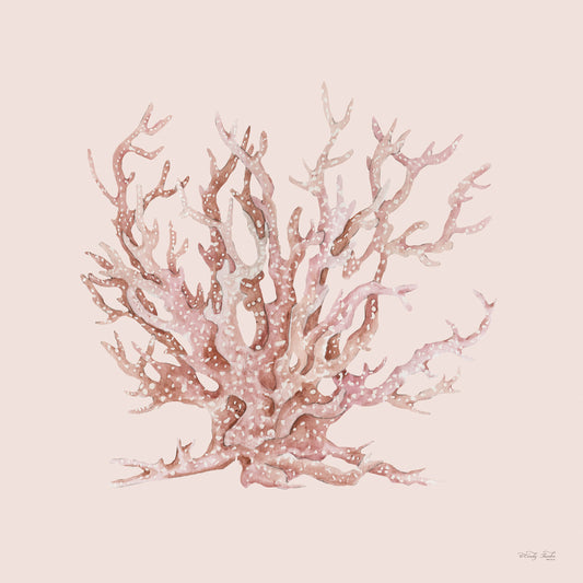 Pink Coral II Canvas Print