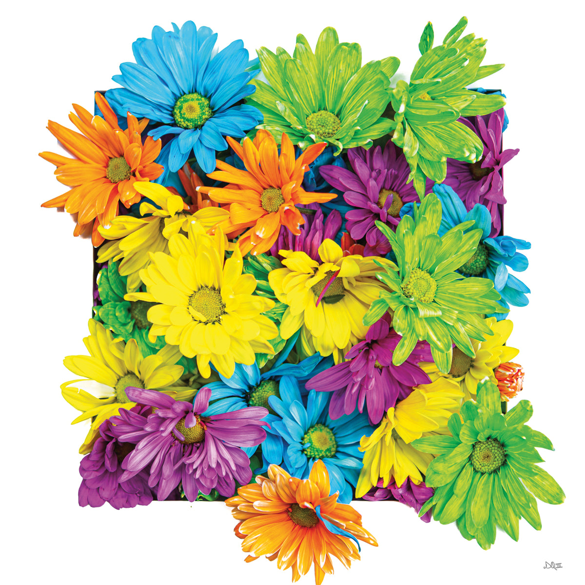 Floral Pop I