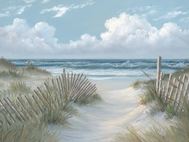 Pathway Through the Dunes