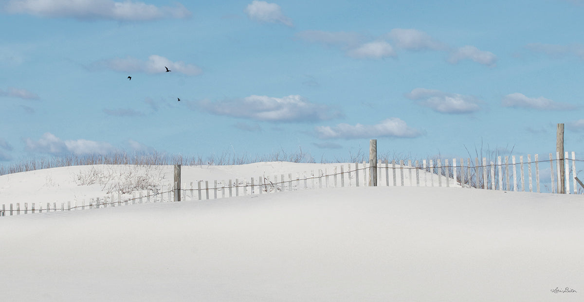 White Sandy Shore