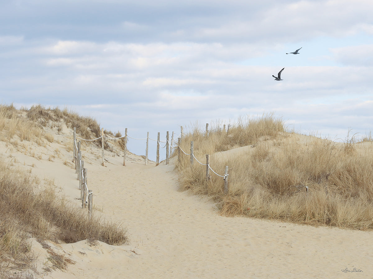 Fenwick Island