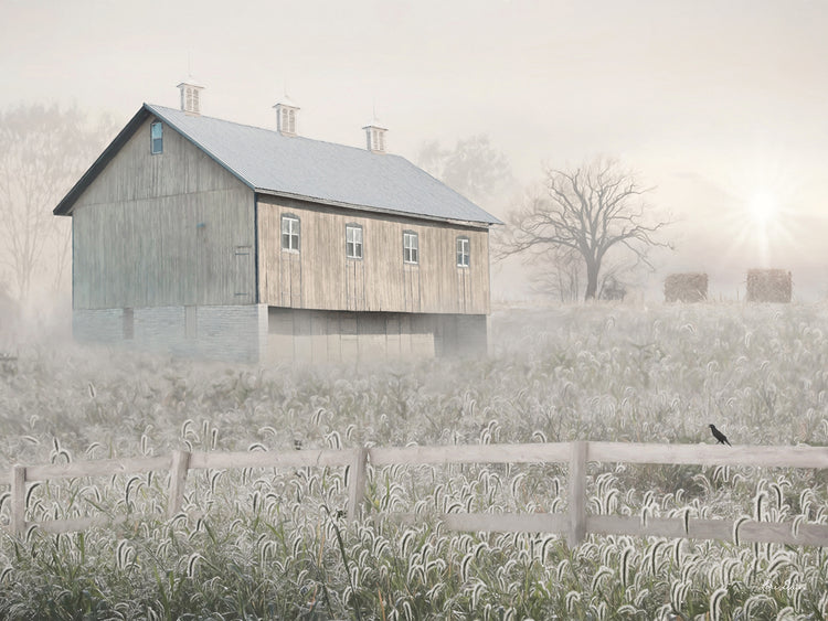 Dewy Country Morning