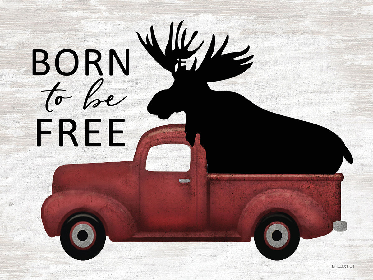 Born to be Free Moose