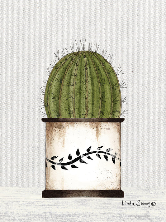 Round Cactus Canvas Print