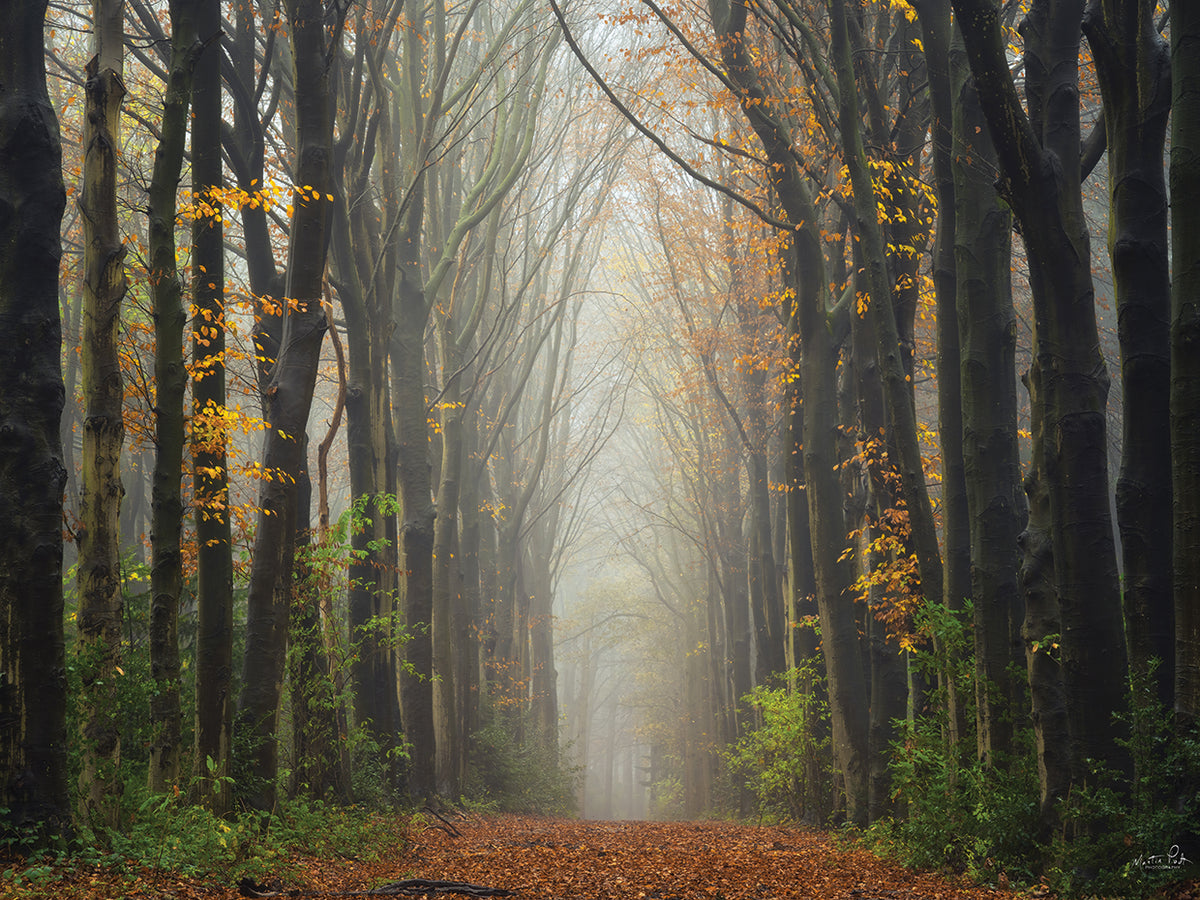 The Unknown Road
