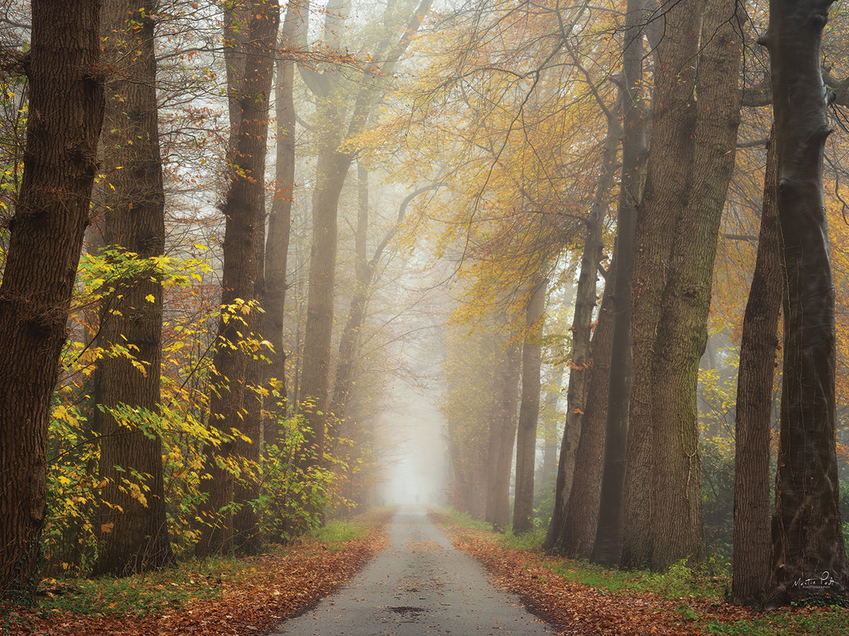 Autumnal Moodiness
