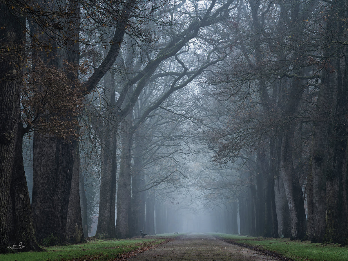 Creepy Road