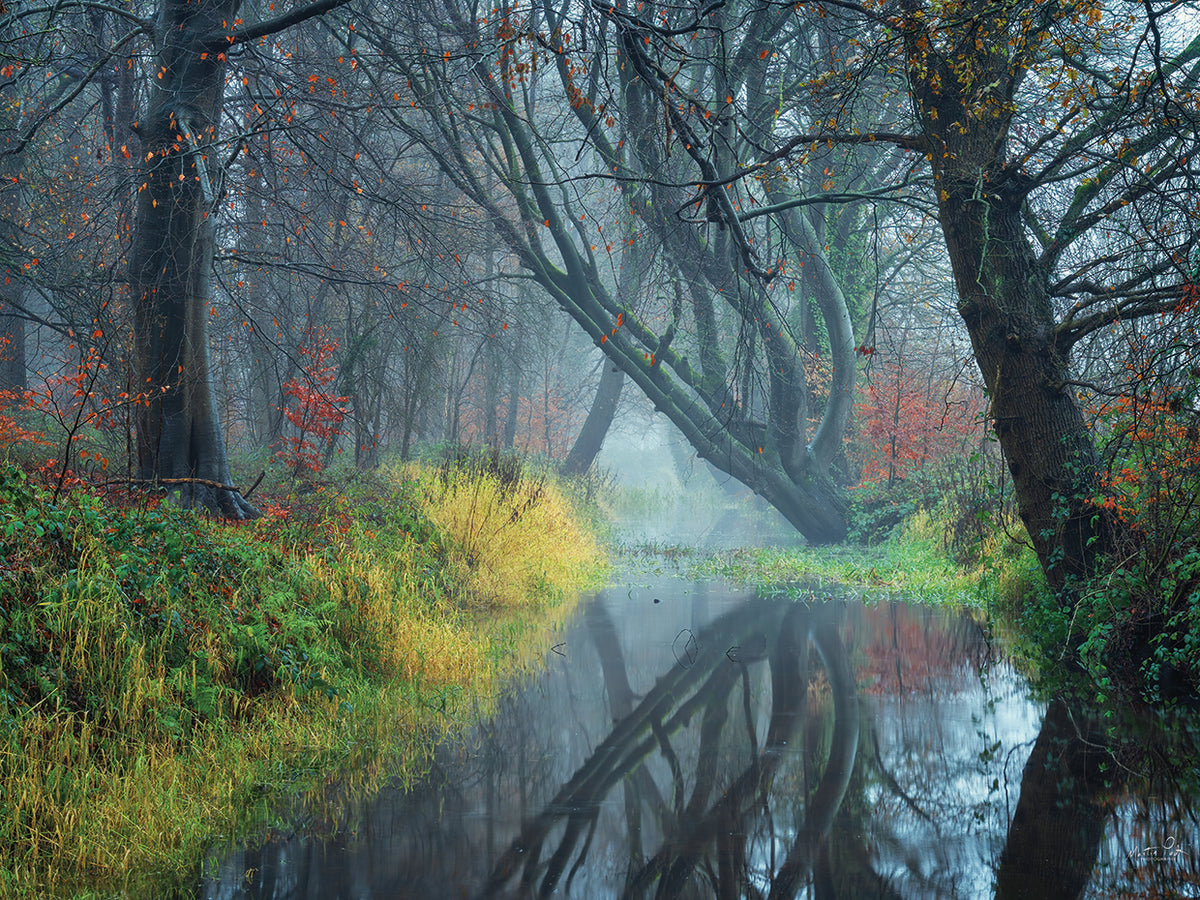 The Creek