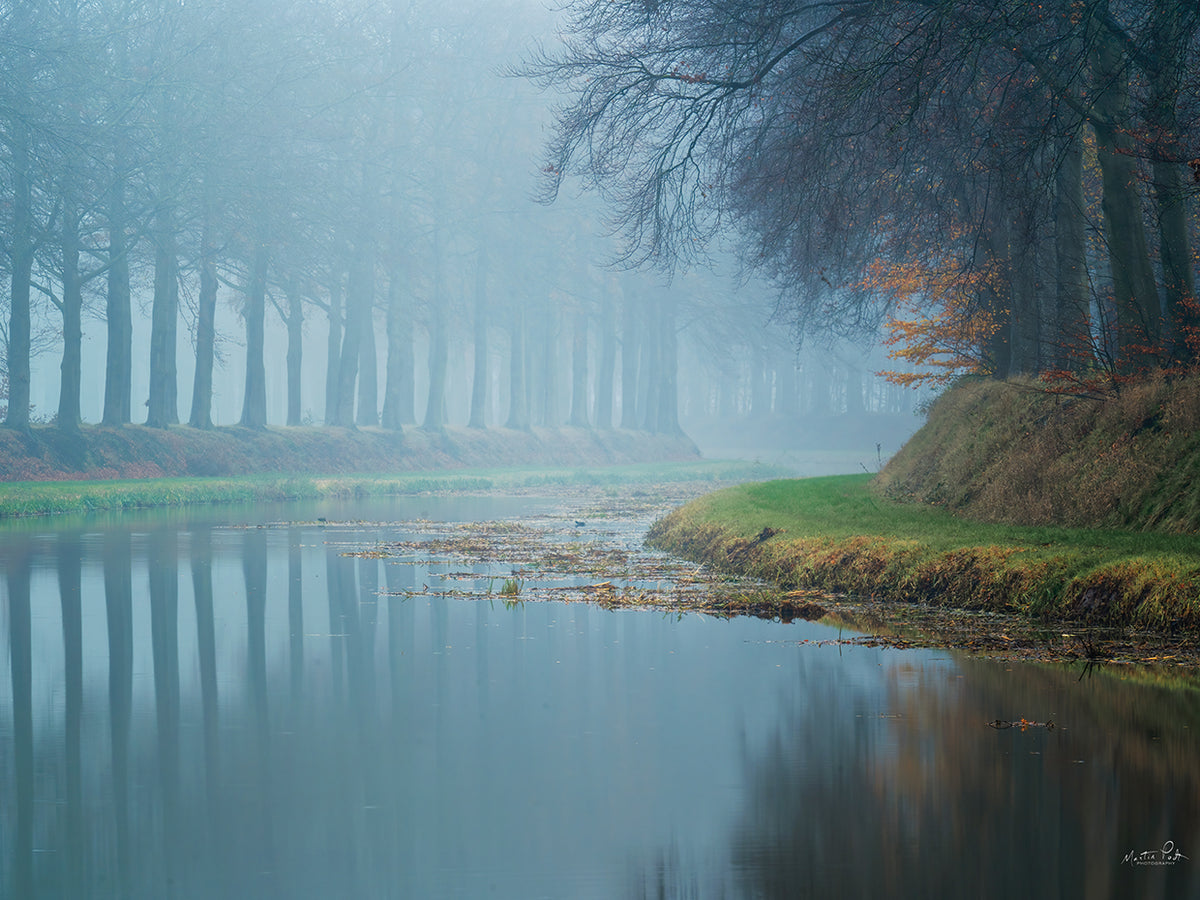 Foggy Reflections