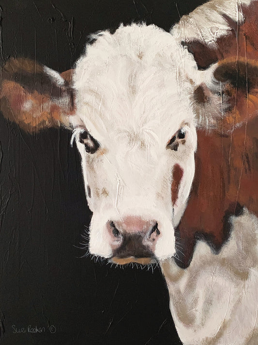 Portrait of a Hereford Canvas Print