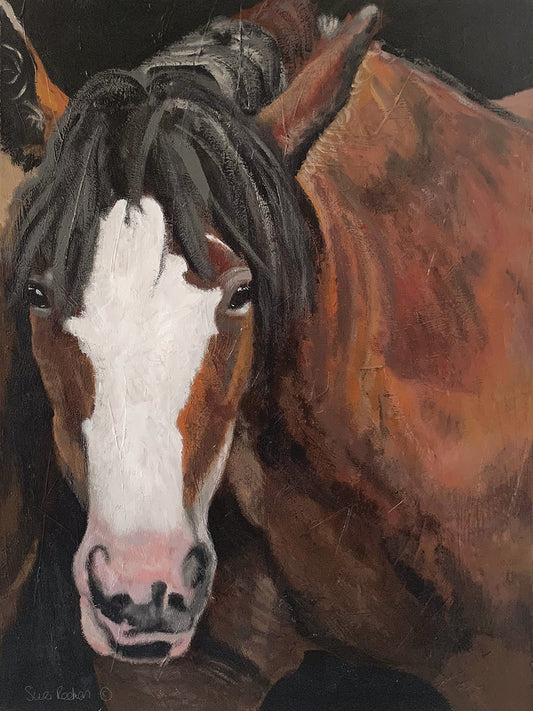 Horse Portrait I