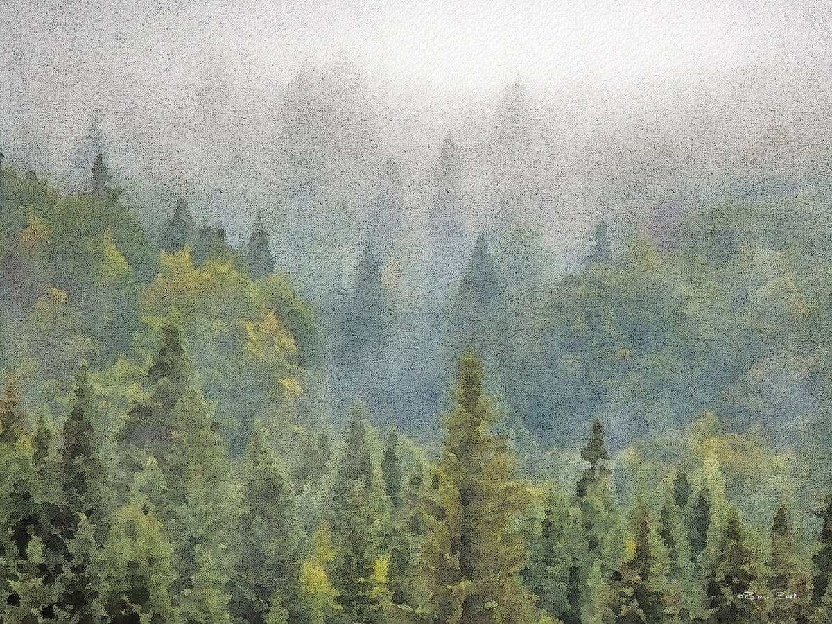 Pines