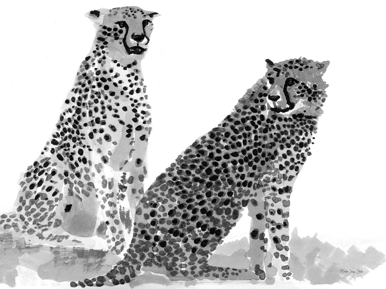 Cheetahs