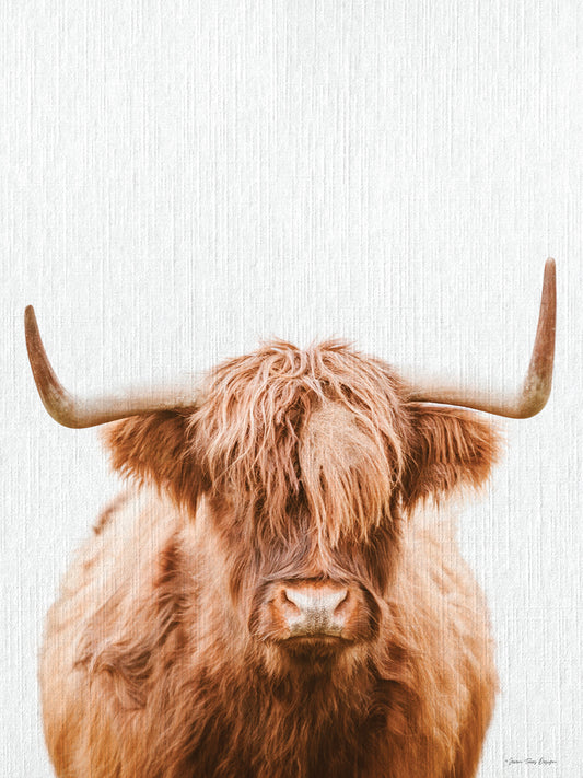 Cow Portrait Canvas Print