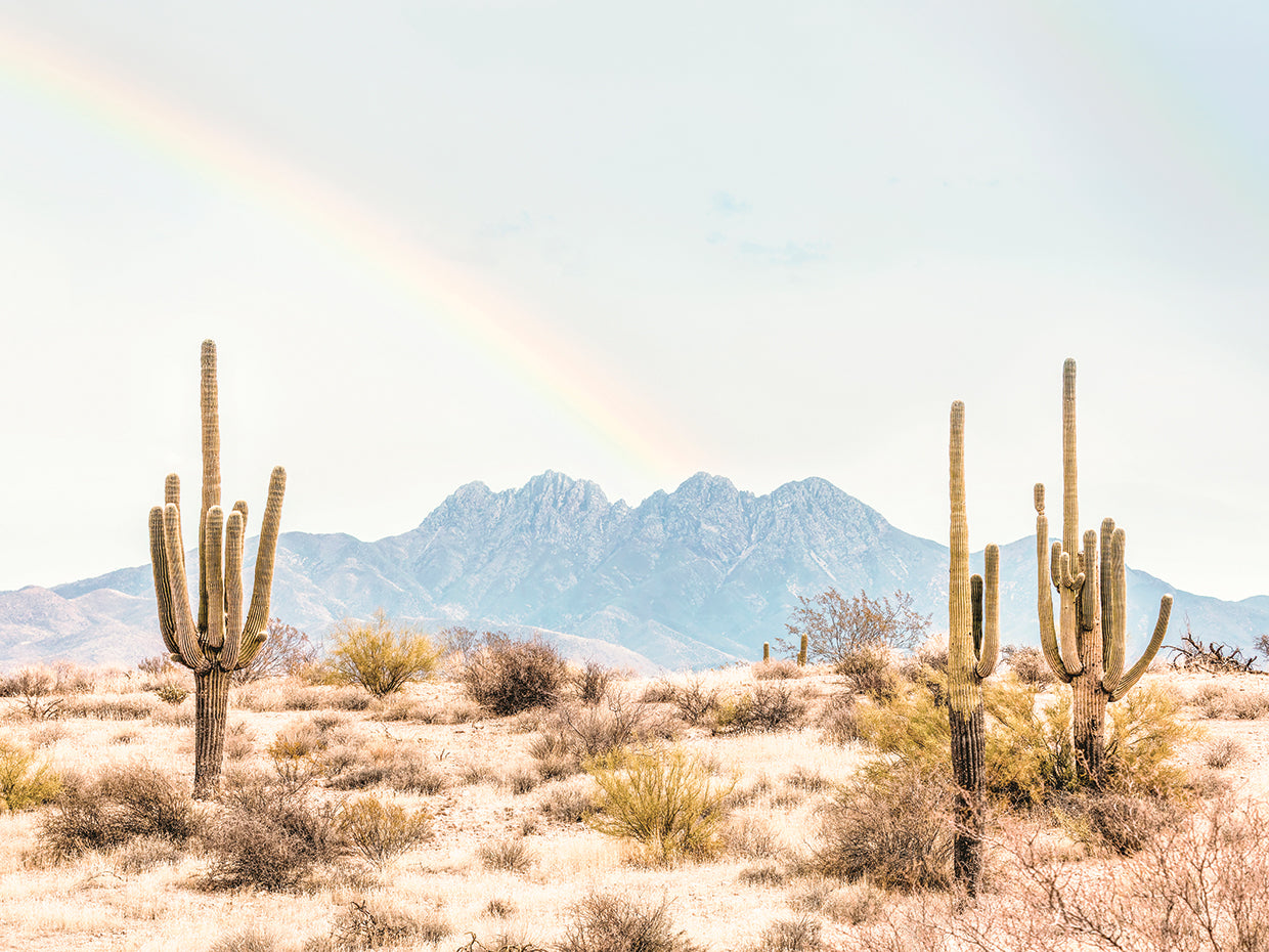 Arizona Rainbow