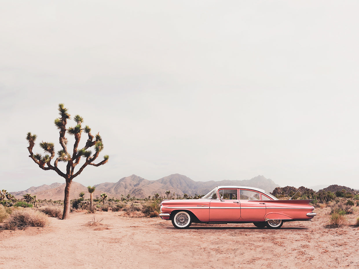 In the desert
