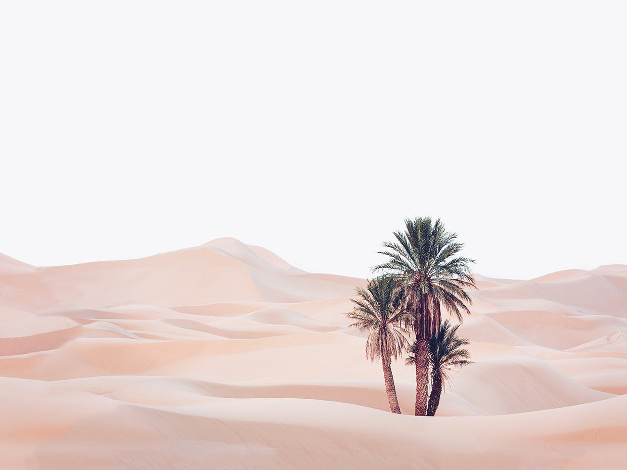 Oasis