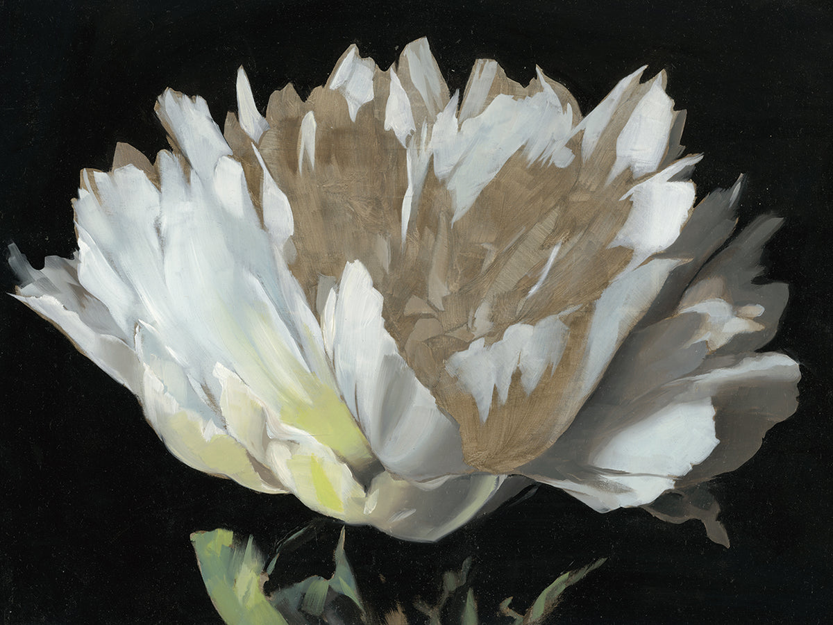 WHITE PEONY