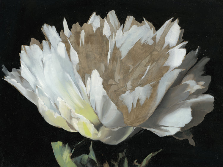 White Peony