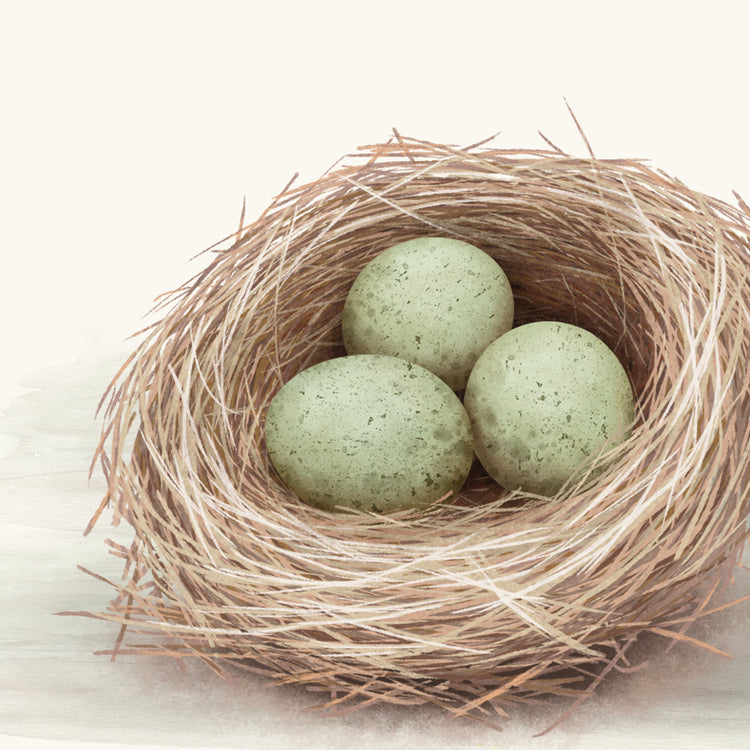 White Petal Gardens II