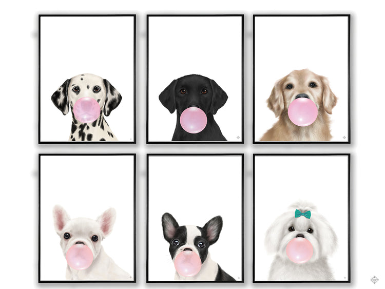 Friendly greeter VII