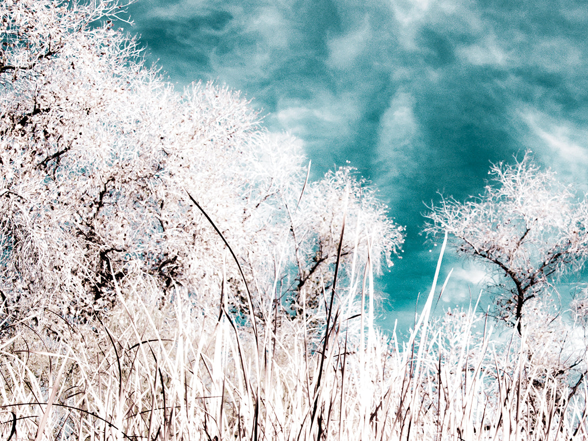 Brisk Winter Sky